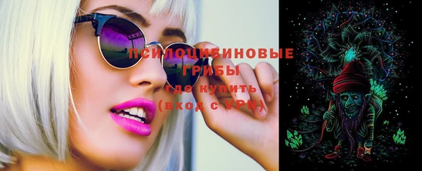 кокс Алексин