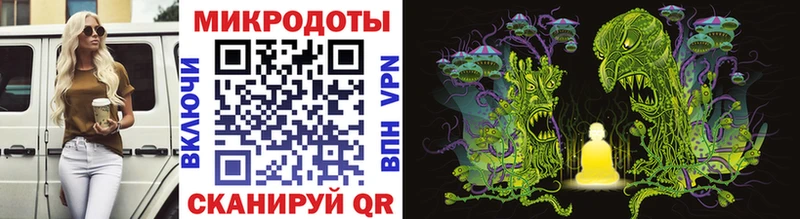 Галлюциногенные грибы Psilocybine cubensis  Лахденпохья 